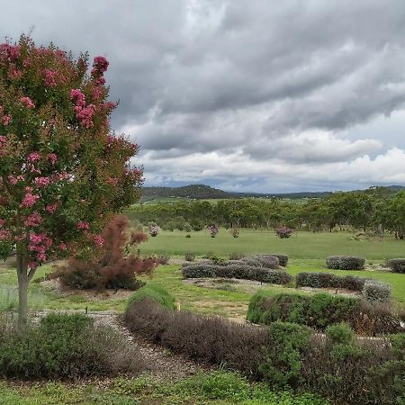 Accommodation Creek Cottages & Sundown View Suites Ballandean 外观 照片